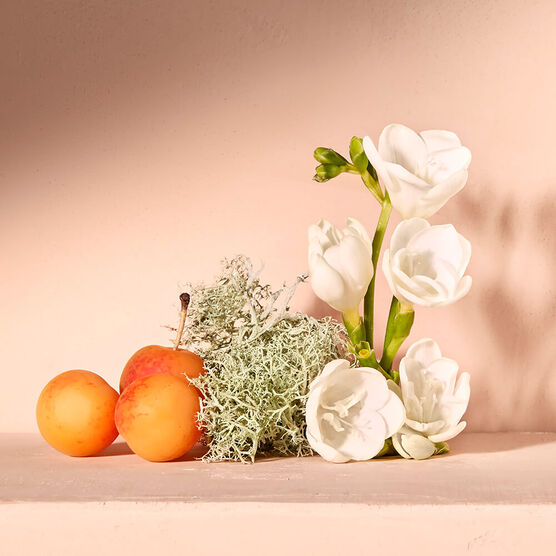 CHLOE      NOMADE EDP    EDP  75ML